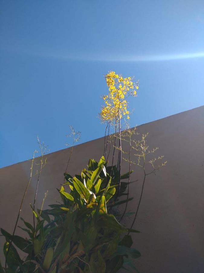 Nossa Casinha Atibaia - Linda Vista Pra Pedra Grande Villa Kültér fotó