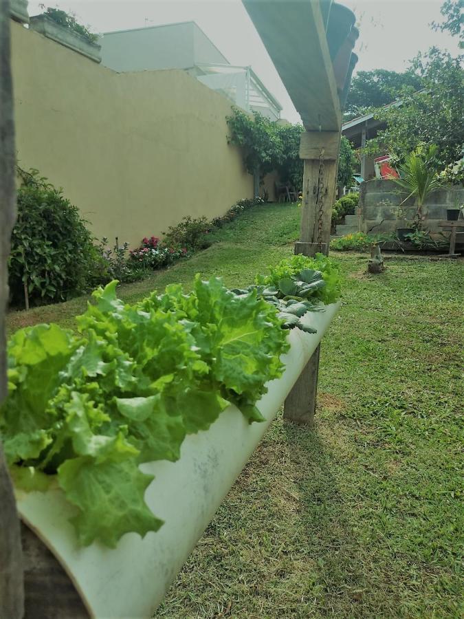Nossa Casinha Atibaia - Linda Vista Pra Pedra Grande Villa Kültér fotó